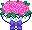 Tama Roses