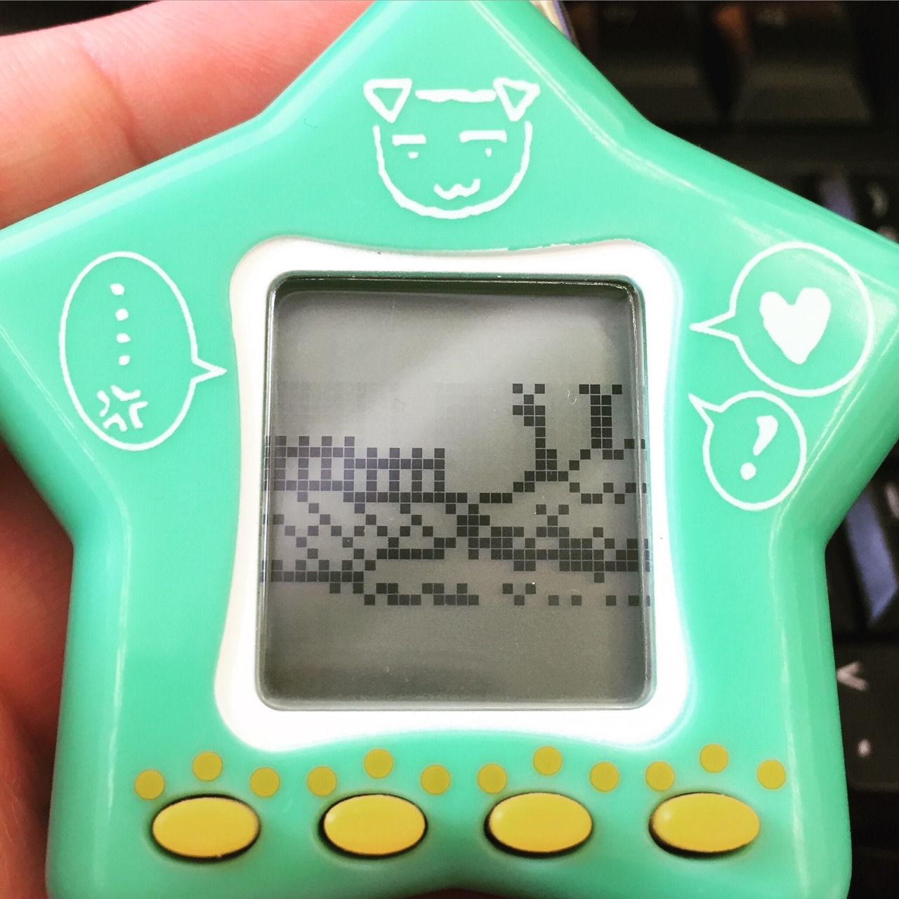 Virtual pet trip to the beach