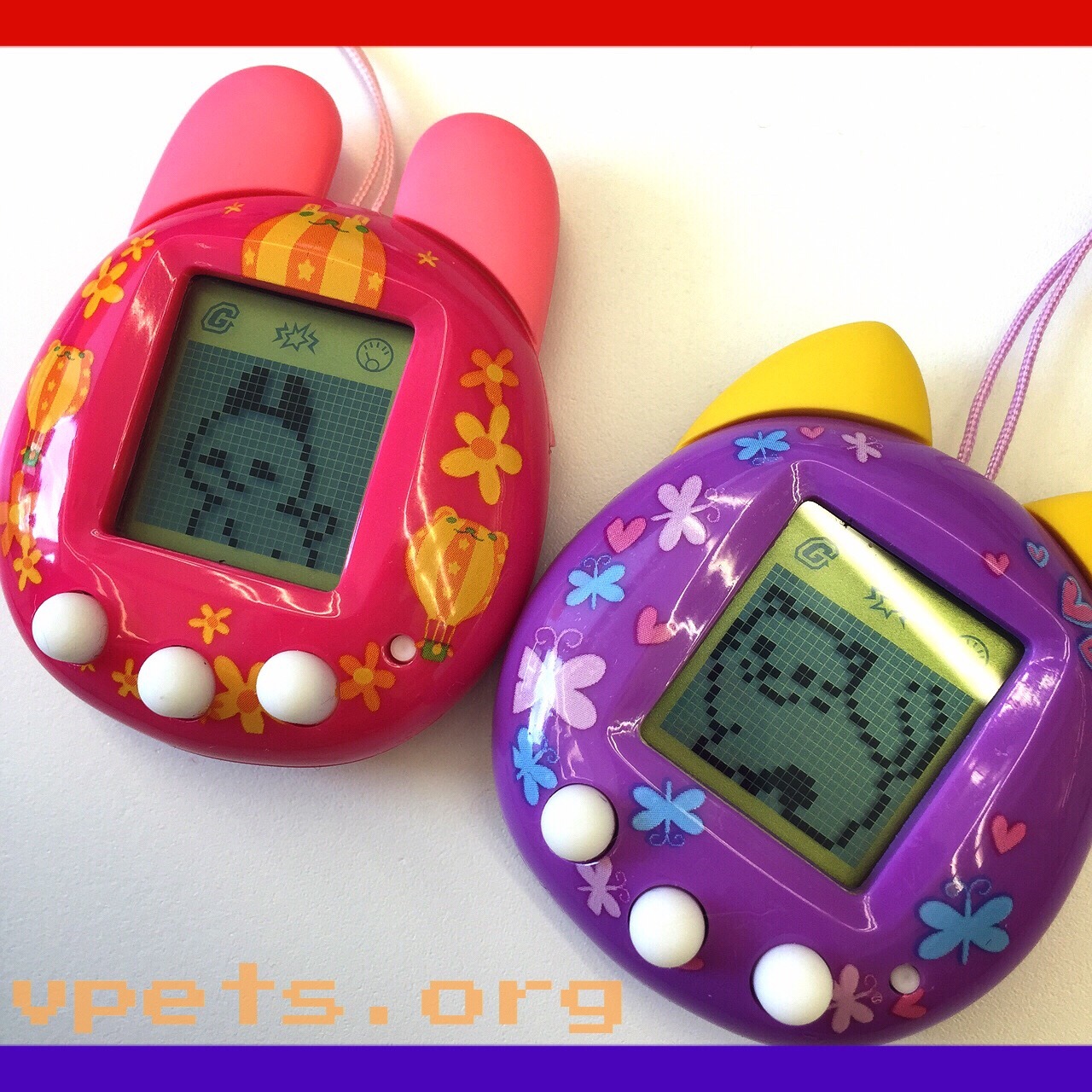 QPet virtual pet